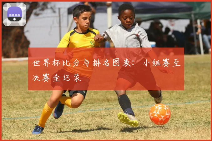 世界杯比分与排名图表：小组赛至决赛全记录