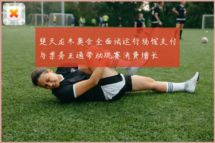 楚天龙冬奥会全面试运行场馆支付与票务互通带动观赛消费增长