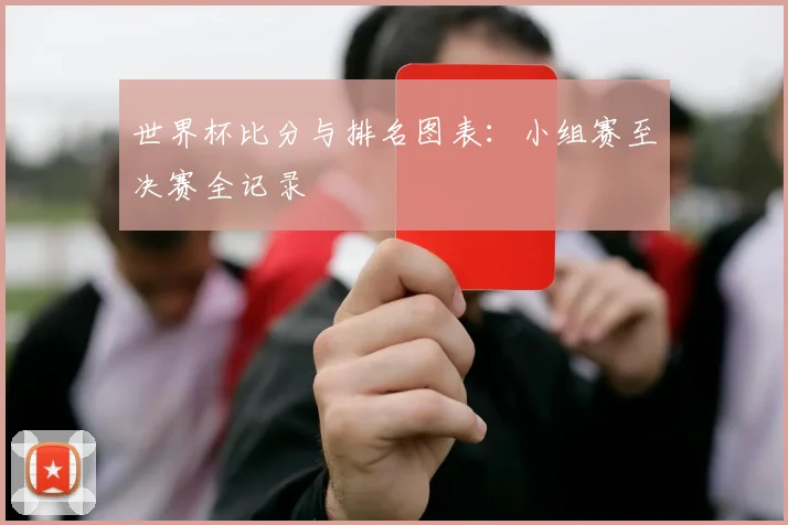 世界杯比分与排名图表:小组赛至决赛全记录