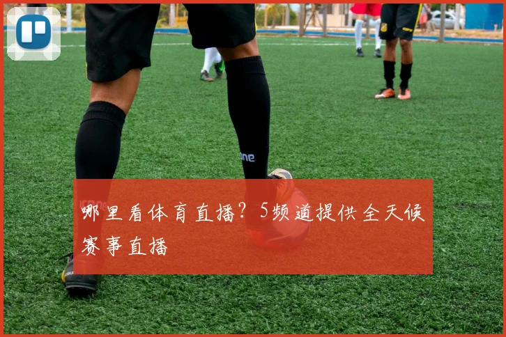 哪里看体育直播?5频道提供全天候赛事直播