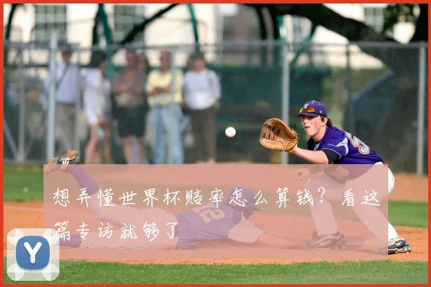 想弄懂世界杯赔率怎么算钱?看这篇专访就够了