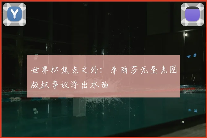 世界杯焦点之外：李丽莎无圣光图版权争议浮出水面