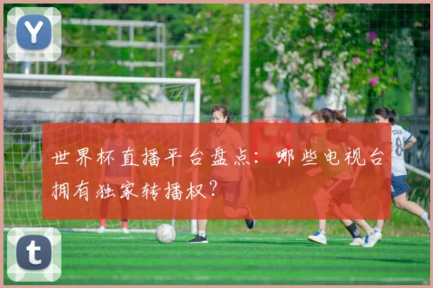 世界杯直播平台盘点：哪些电视台拥有独家转播权？