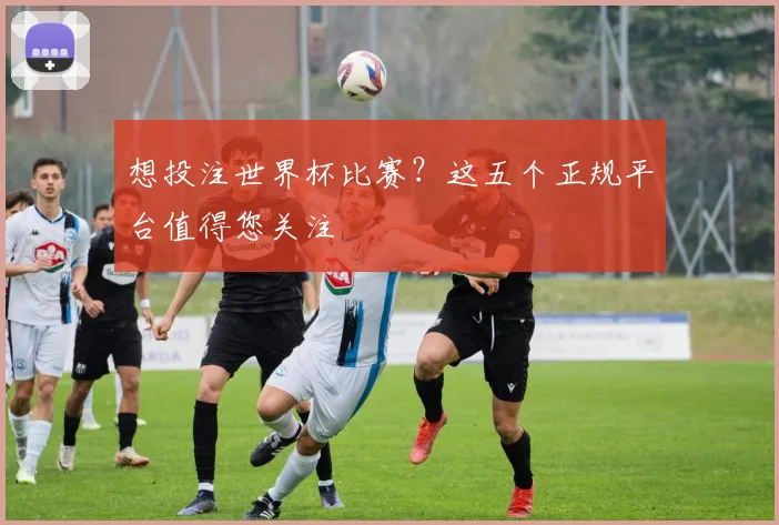 想投注世界杯比赛？这五个正规平台值得您关注