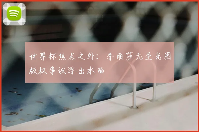 世界杯焦点之外：李丽莎无圣光图版权争议浮出水面