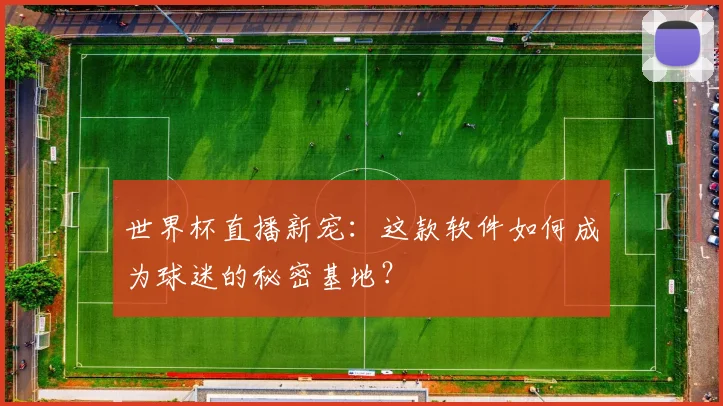 世界杯直播新宠：这款软件如何成为球迷的秘密基地？