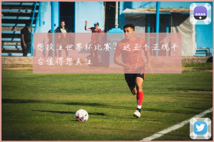 想投注世界杯比赛？这五个正规平台值得您关注