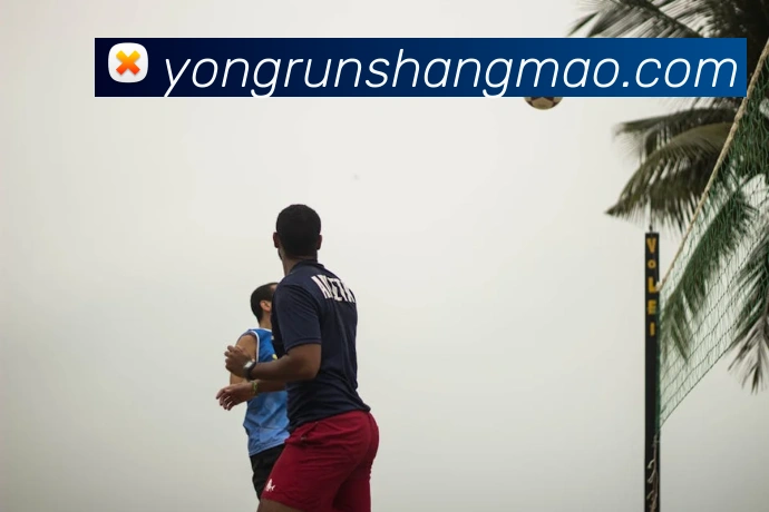 星空平台登录入口发展历程